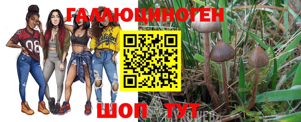 Галлюциногенные грибы мухоморы Дзержинский
